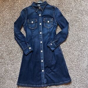Alexa Chung for AG denim dress